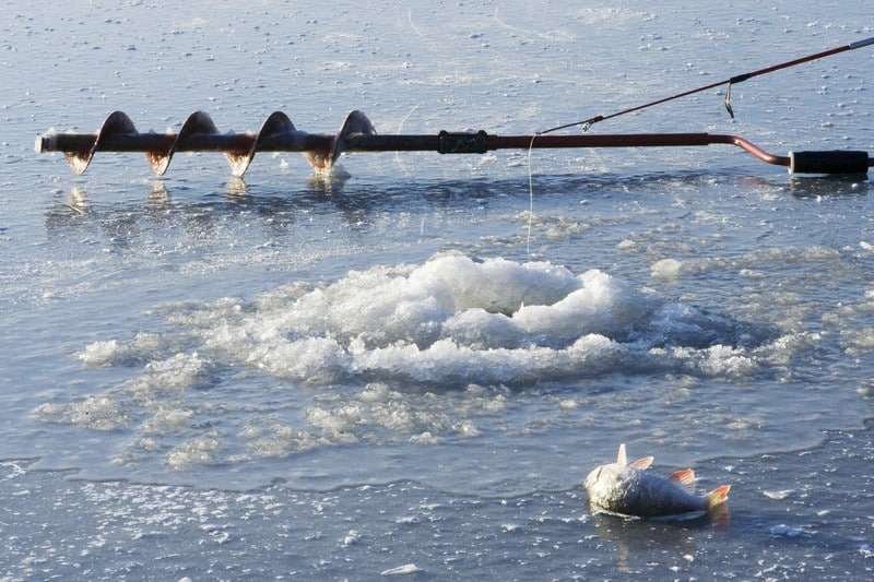 Catch the Big Prize with UK's Best Ice Fishing Live Casino Experience in United Kigdom